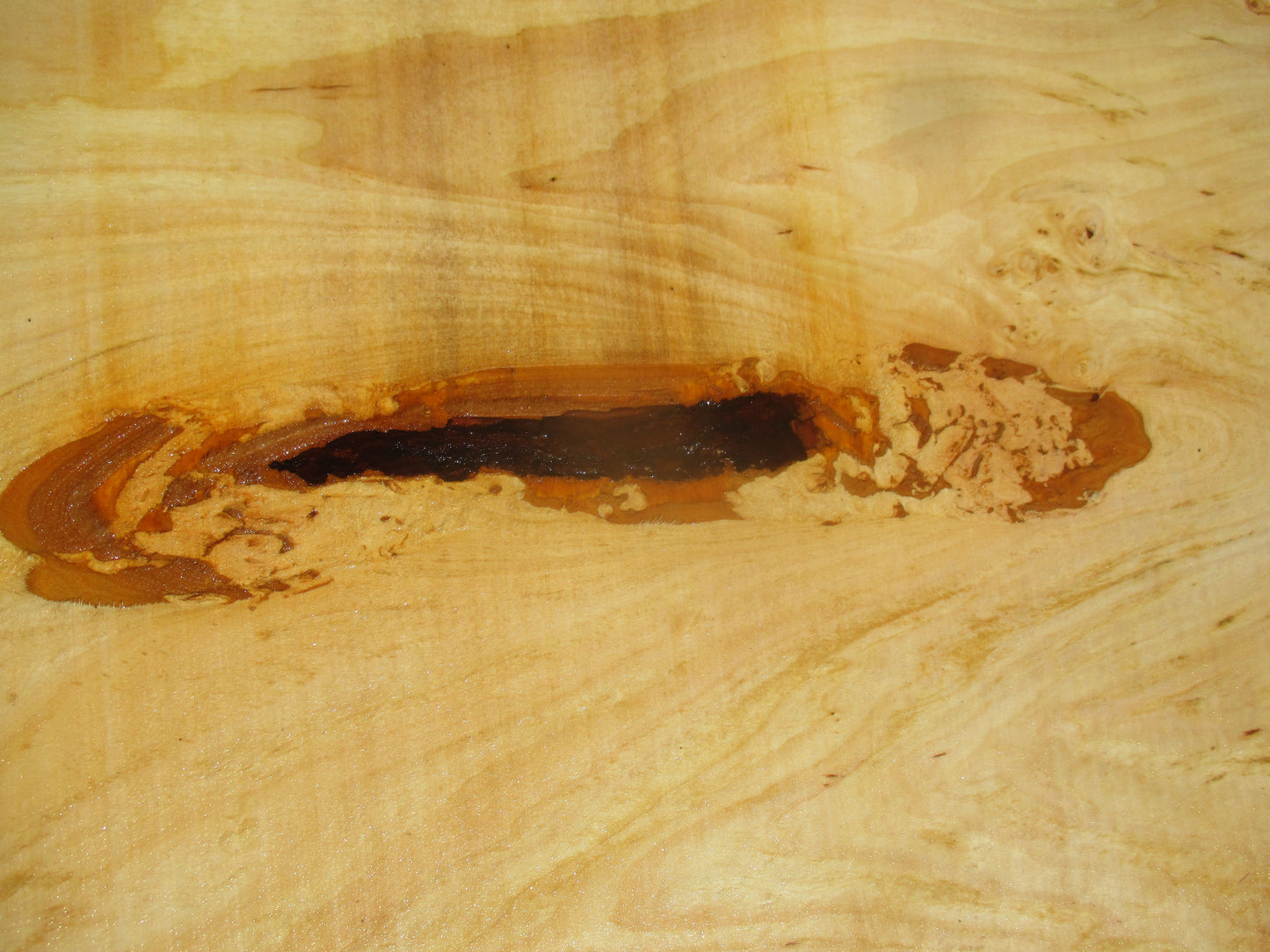 Unbehandelte Tischplatten nach Maß aus Laubholz Linde | Plattennummer B-00185