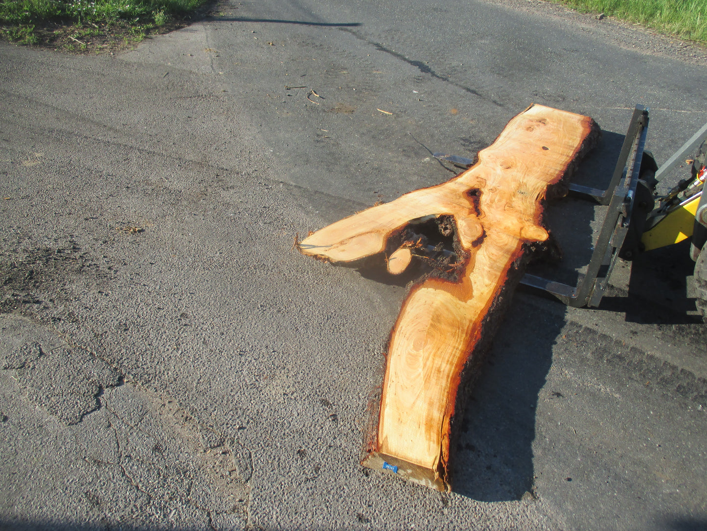 Unbehandelte Tischplatten nach Maß aus Laubholz Linde | Plattennummer B-00187