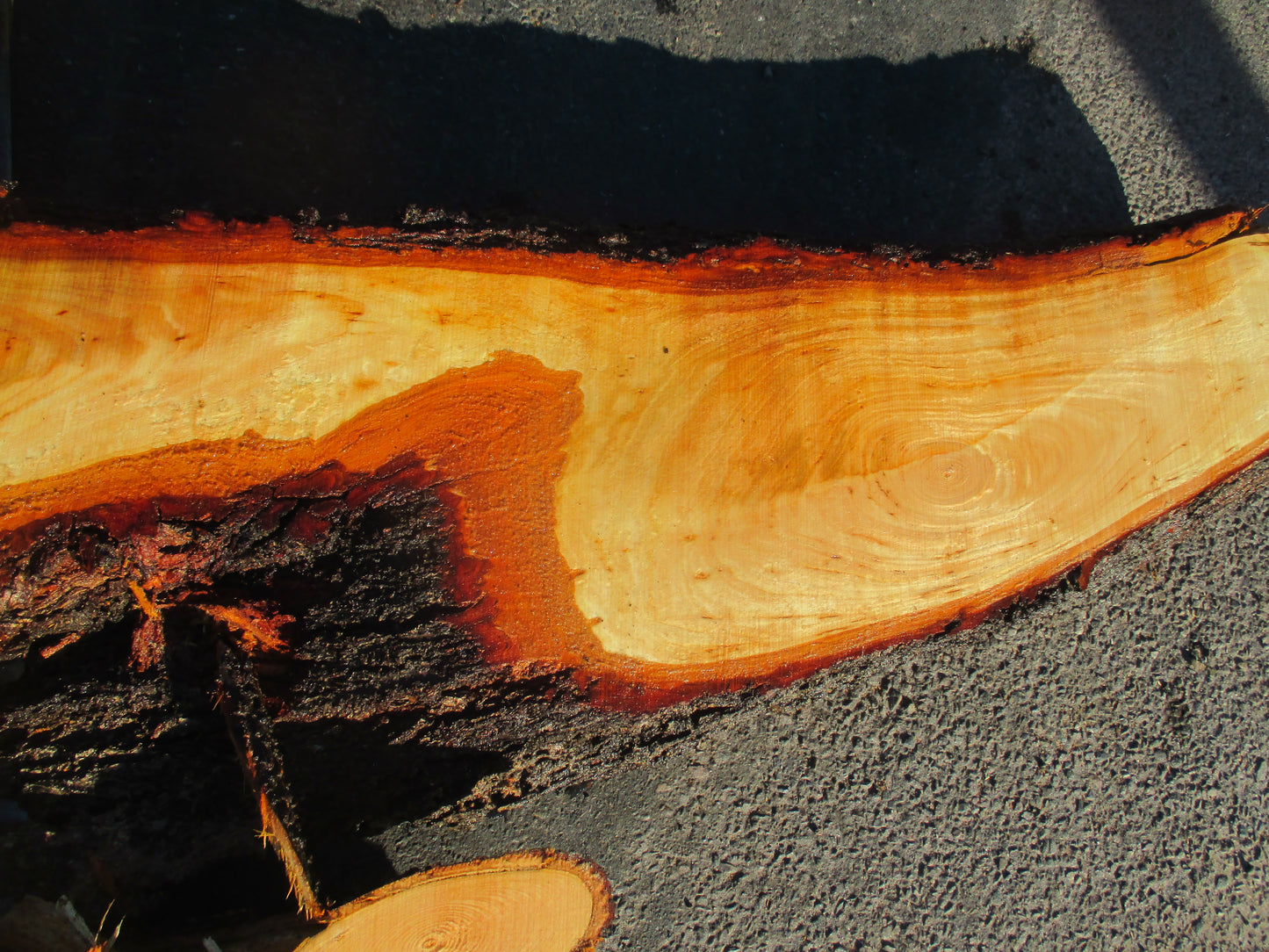 Unbehandelte Tischplatten nach Maß aus Laubholz Linde | Plattennummer B-00187