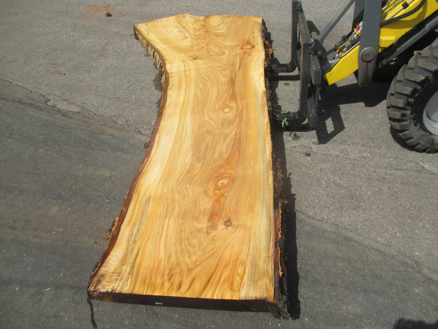 Unbehandelte Tischplatten aus Pappel | Plattennummer S-00055 Pappel