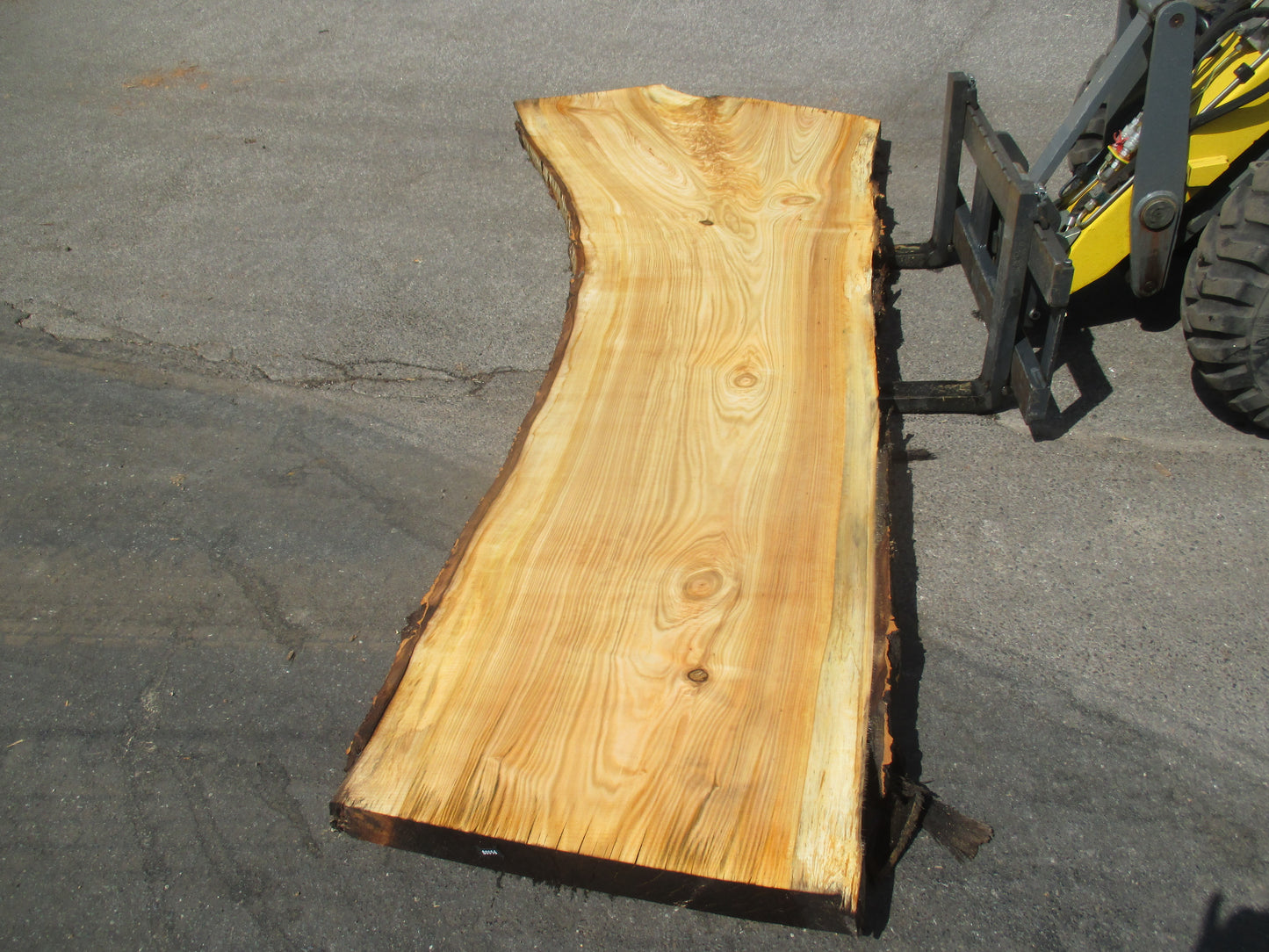Unbehandelte Tischplatten aus Pappel | Plattennummer S-00056 Pappel