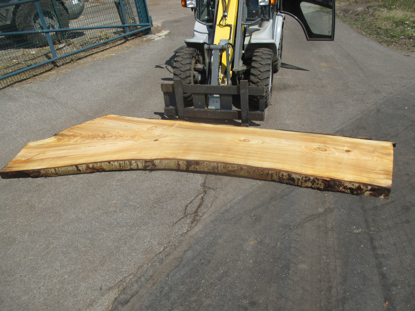 Unbehandelte Tischplatten aus Pappel | Plattennummer S-00056 Pappel