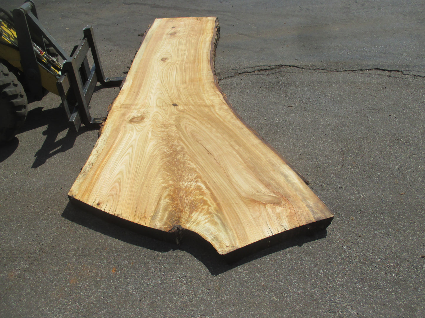 Unbehandelte Tischplatten aus Pappel | Plattennummer S-00056 Pappel