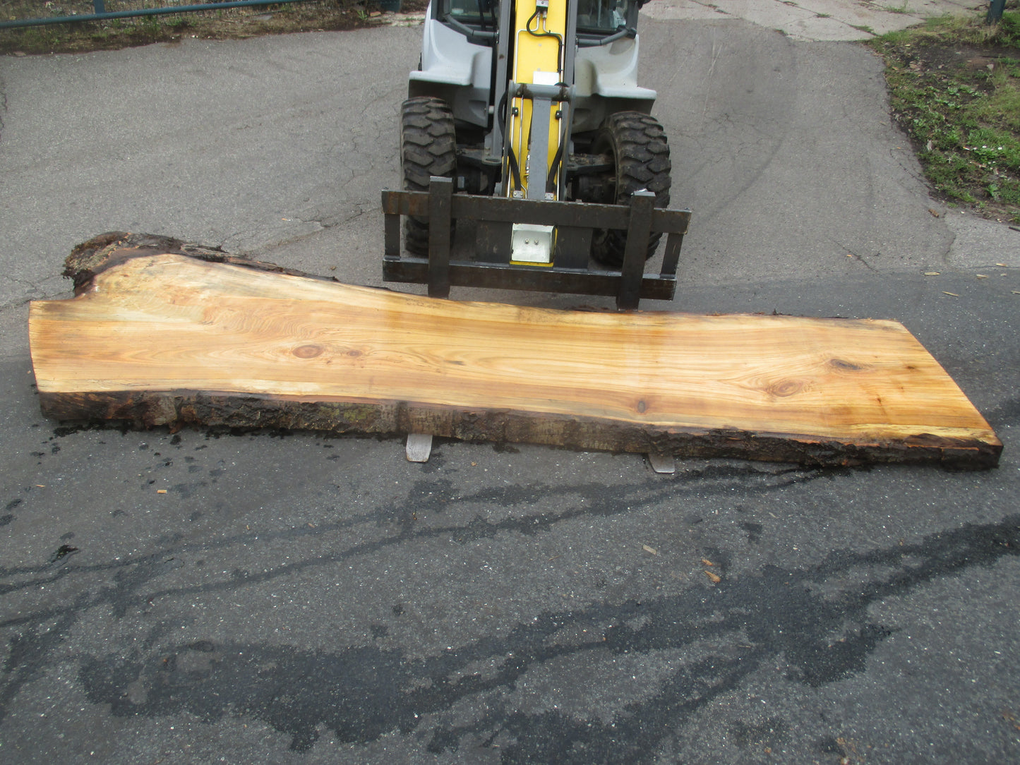 Unbehandelte Tischplatten aus Pappel | Plattennummer S-00059 Pappel