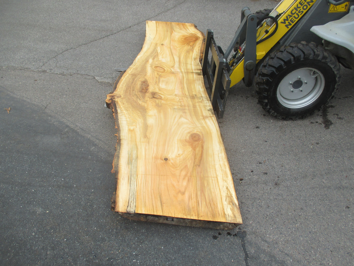 Unbehandelte Tischplatten aus Pappel | Plattennummer S-00067 Pappel