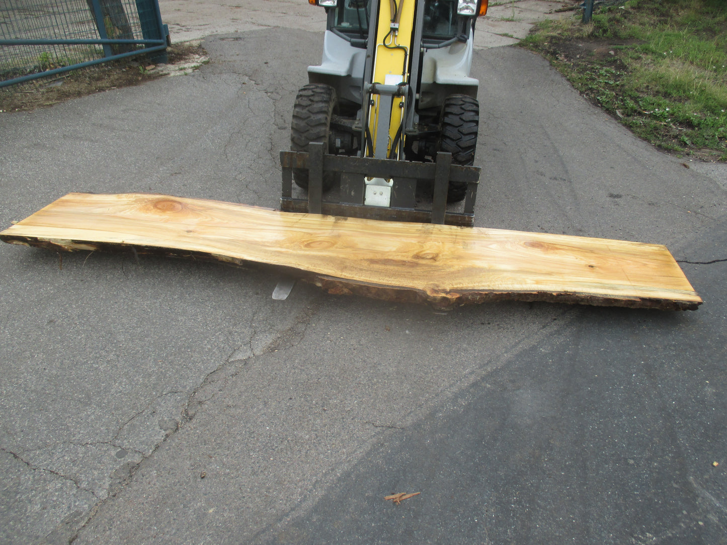 Unbehandelte Tischplatten aus Pappel | Plattennummer S-00067 Pappel