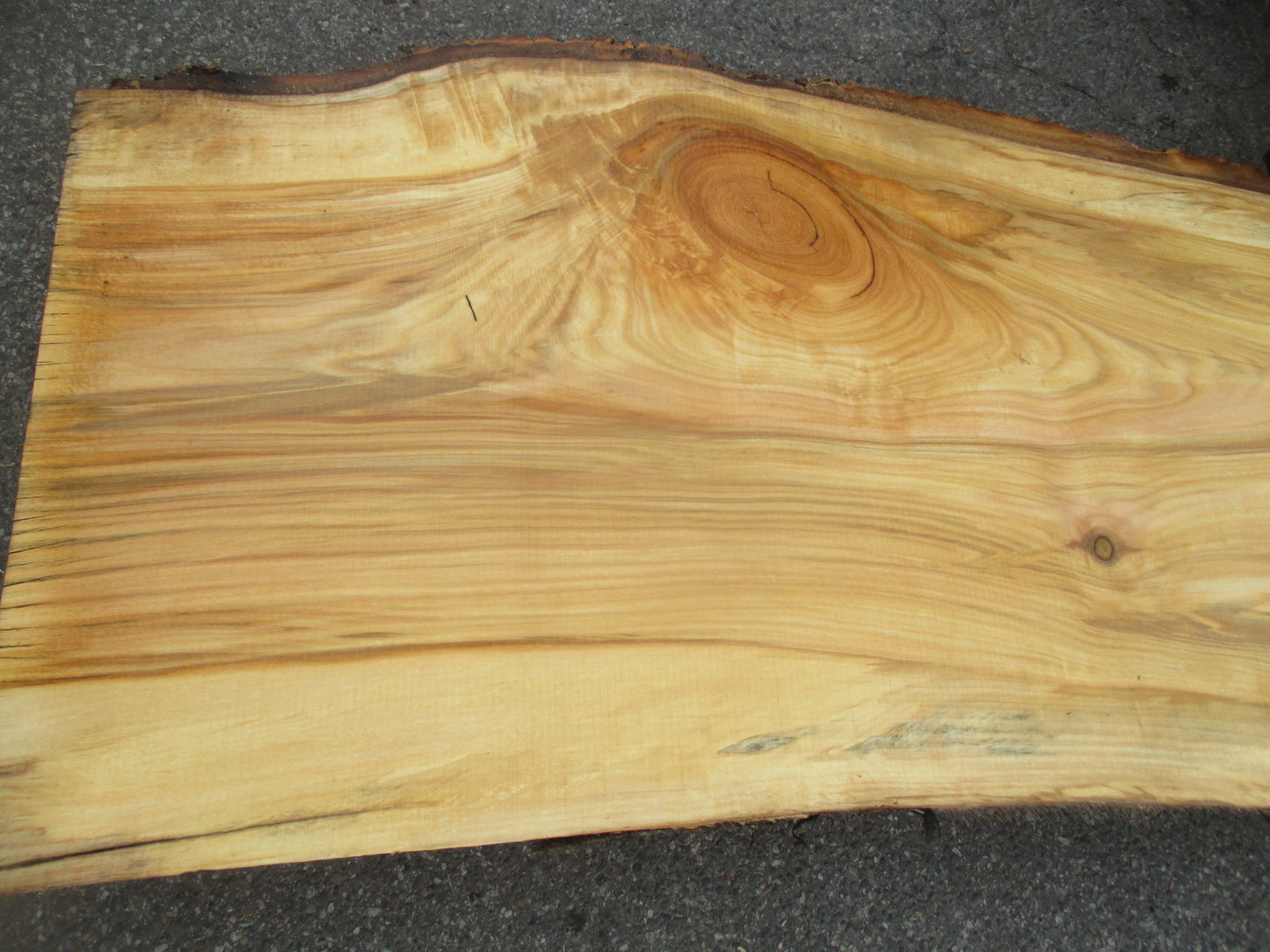 Unbehandelte Tischplatten aus Pappel | Plattennummer S-00067 Pappel