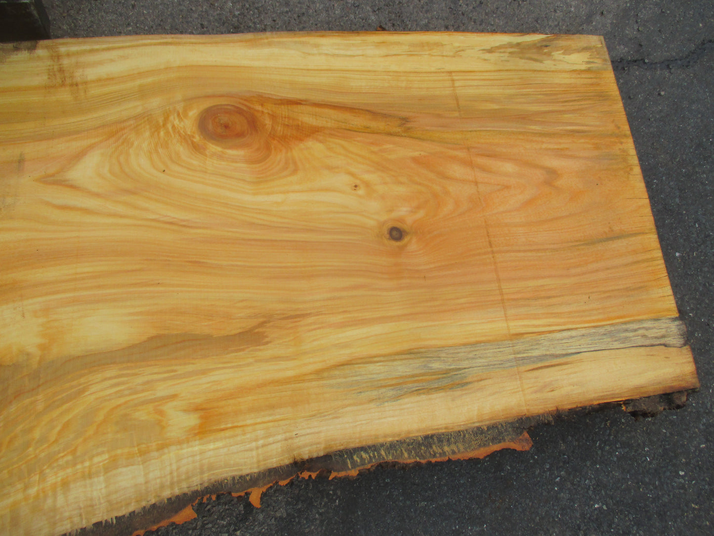 Unbehandelte Tischplatten aus Pappel | Plattennummer S-00067 Pappel