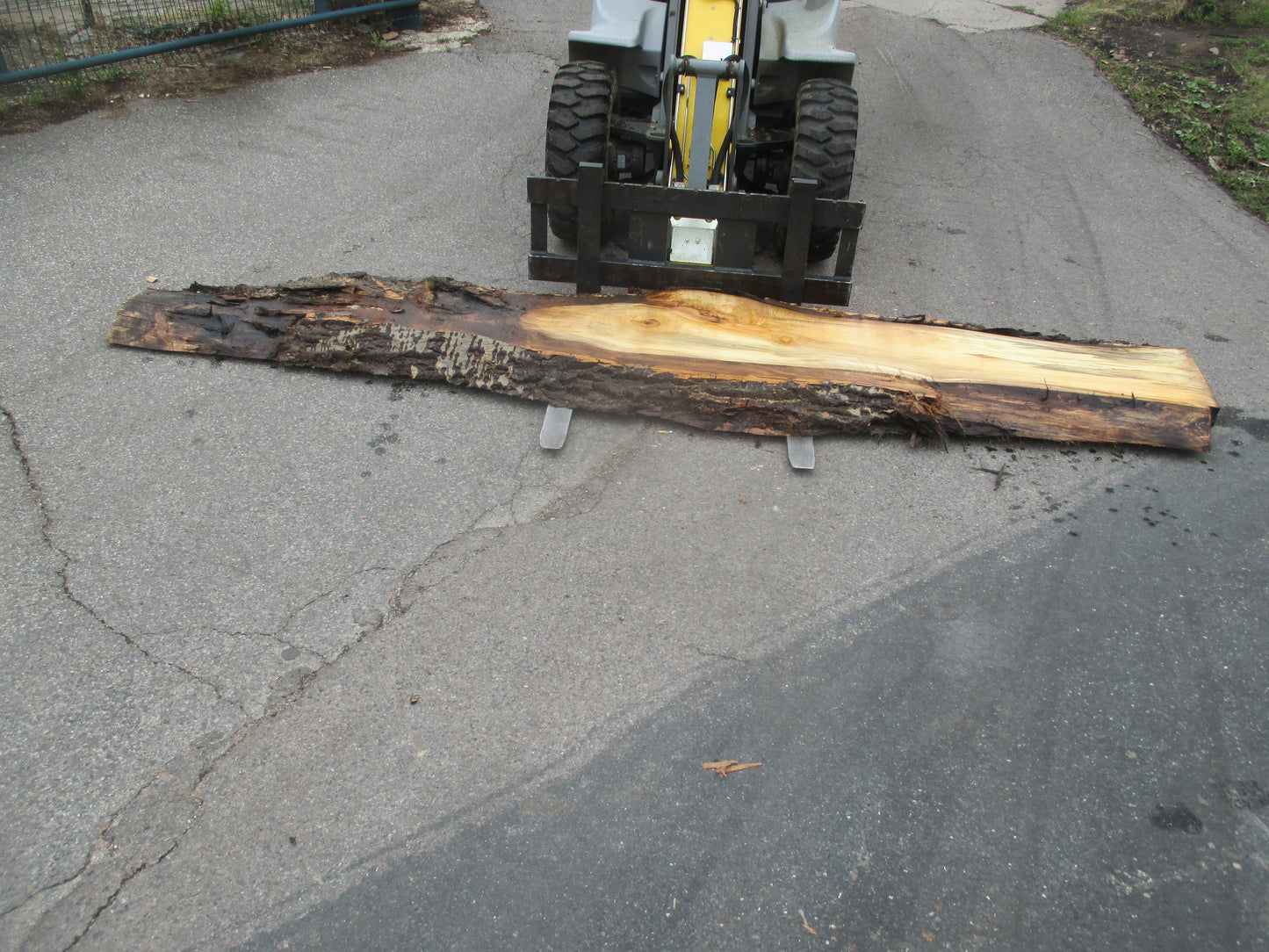 Unbehandelte Tischplatten aus Pappel | Plattennummer S-00068 Pappel