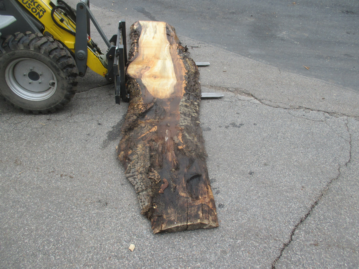 Unbehandelte Tischplatten aus Pappel | Plattennummer S-00068 Pappel