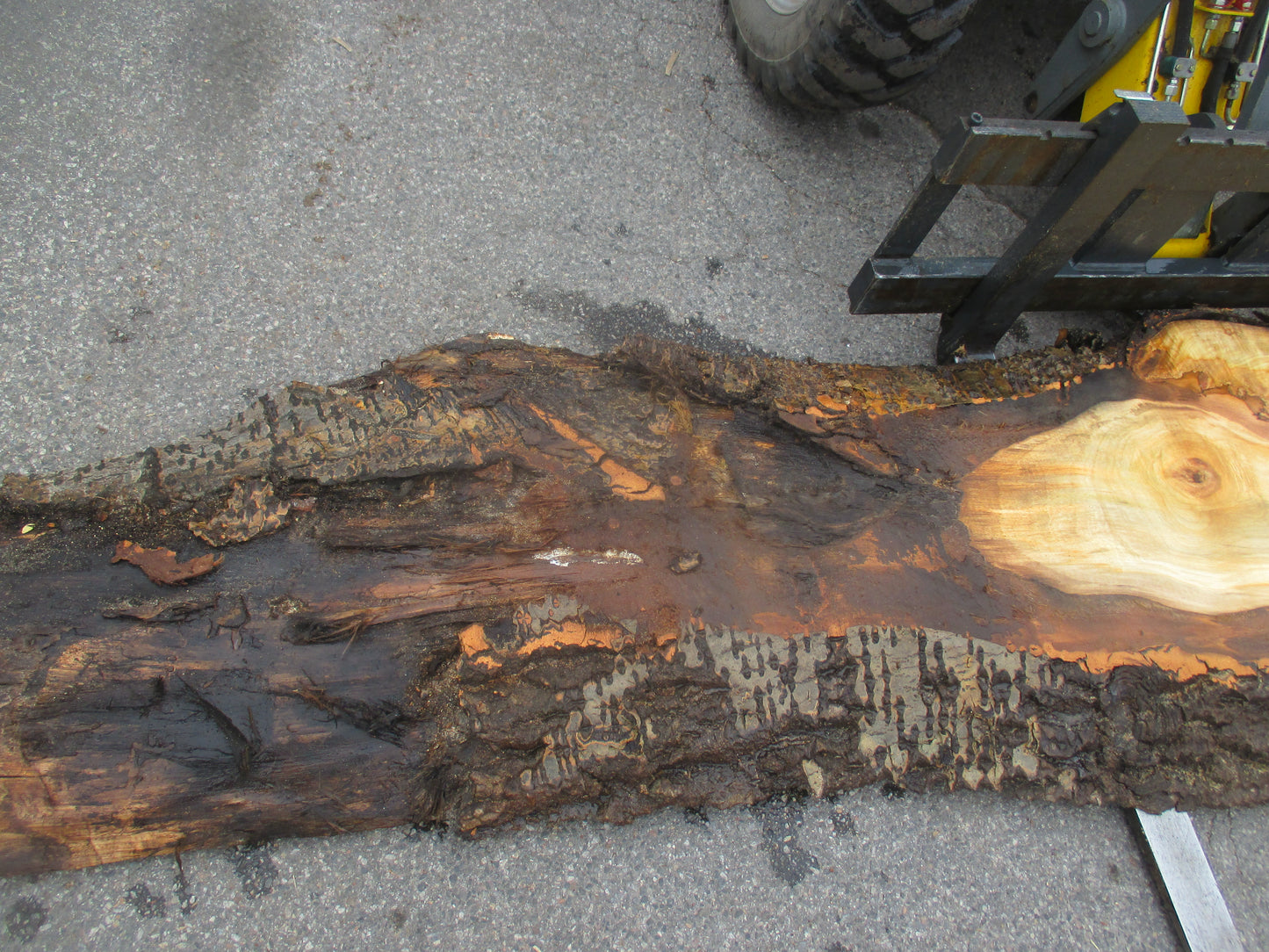 Unbehandelte Tischplatten aus Pappel | Plattennummer S-00068 Pappel