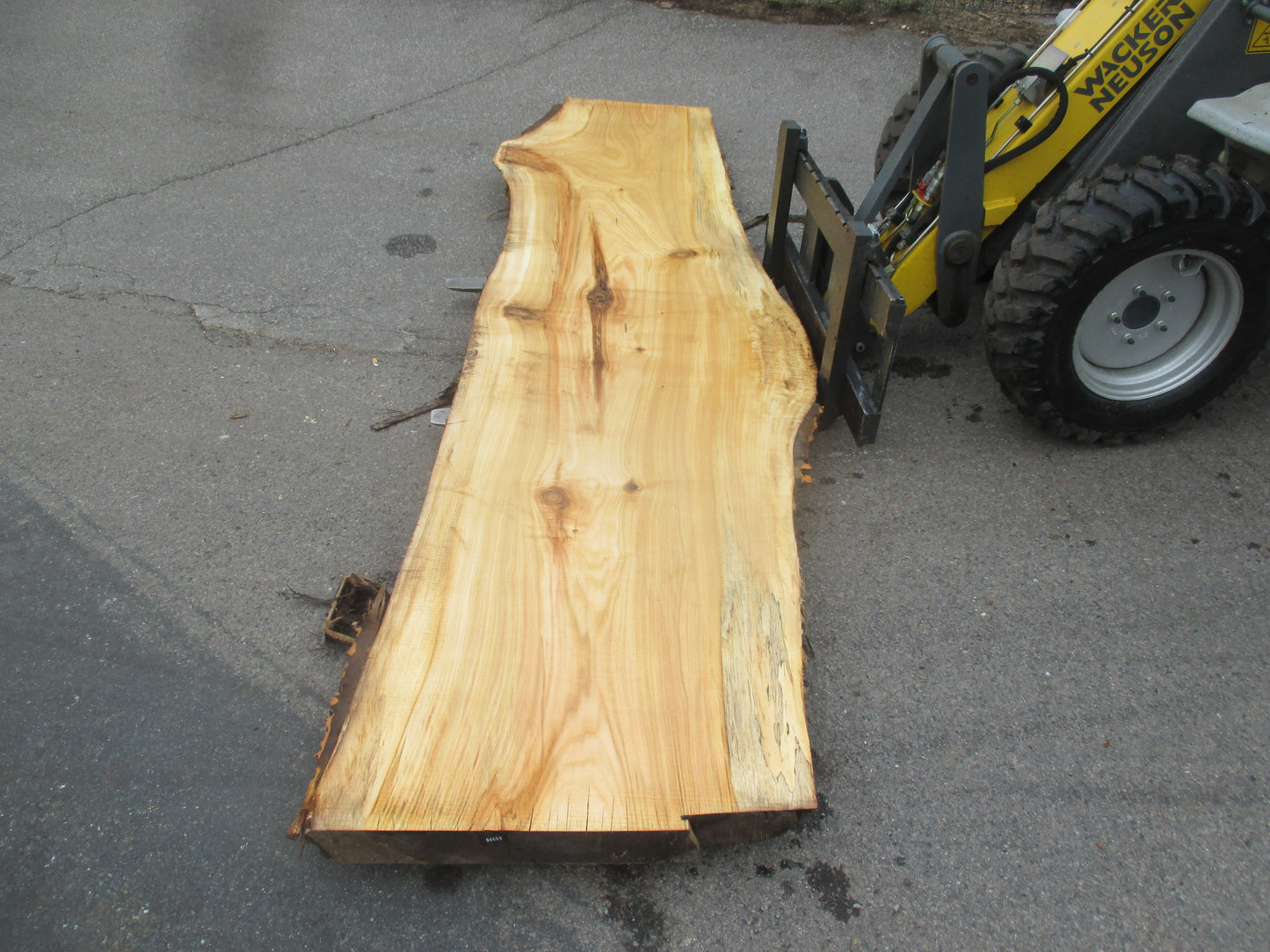 Unbehandelte Tischplatten aus Pappel | Plattennummer S-00069 Pappel