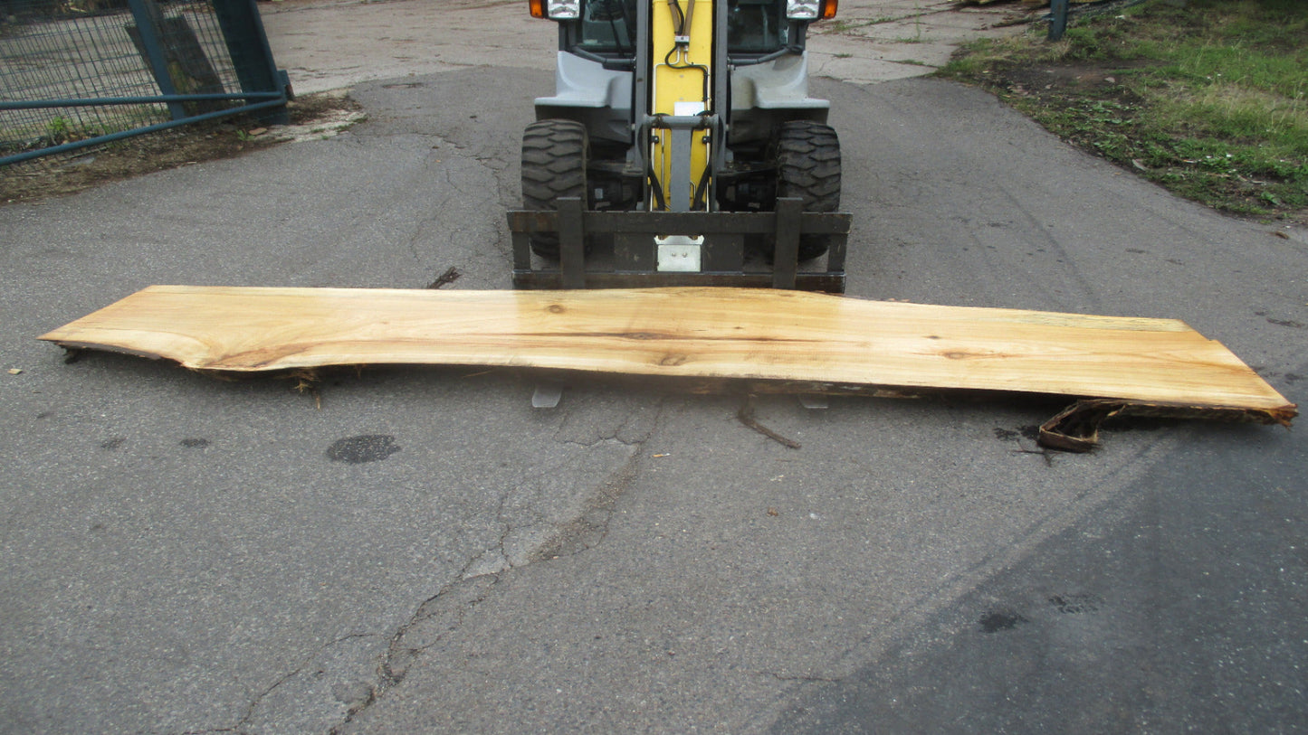 Unbehandelte Tischplatten aus Pappel | Plattennummer S-00069 Pappel