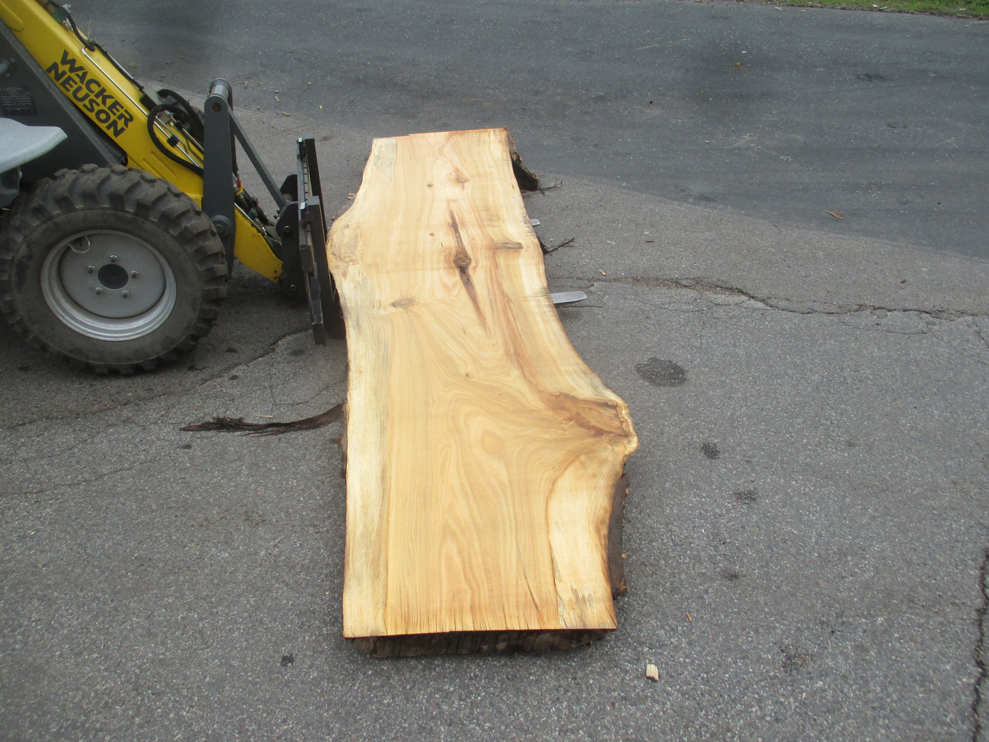 Unbehandelte Tischplatten aus Pappel | Plattennummer S-00069 Pappel
