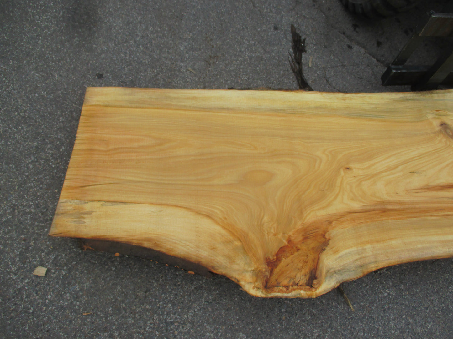 Unbehandelte Tischplatten aus Pappel | Plattennummer S-00069 Pappel