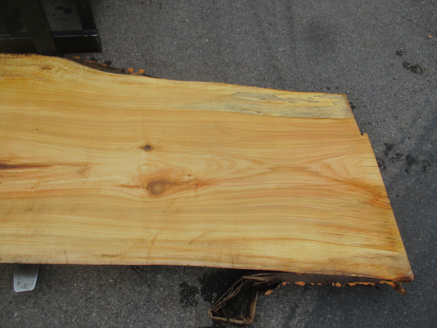 Unbehandelte Tischplatten aus Pappel | Plattennummer S-00069 Pappel