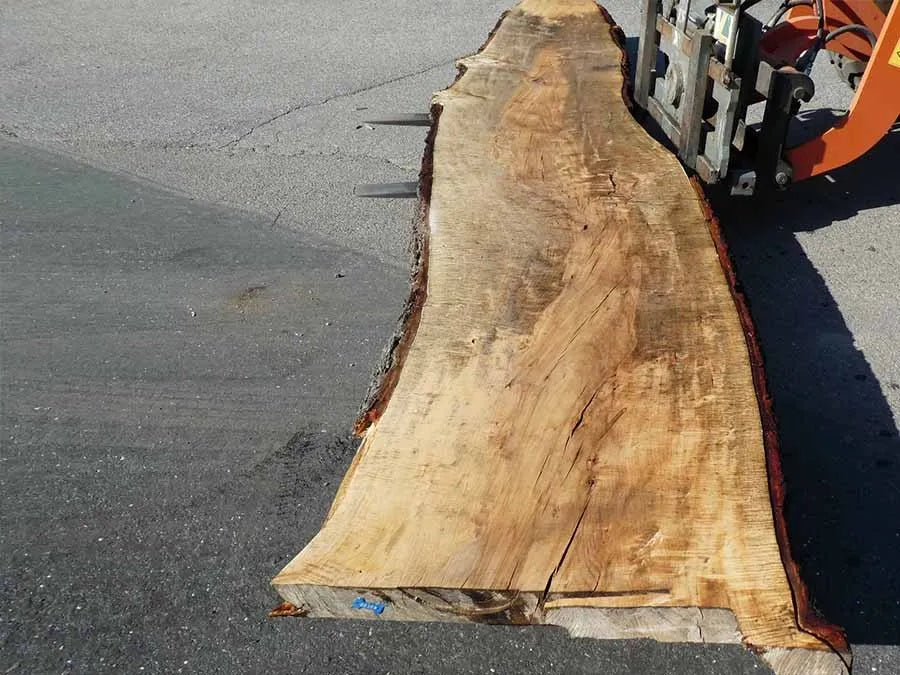 Unbehandelte Tischplatten nach Maß aus Laubholz Kastanie | Plattennummer B-00309