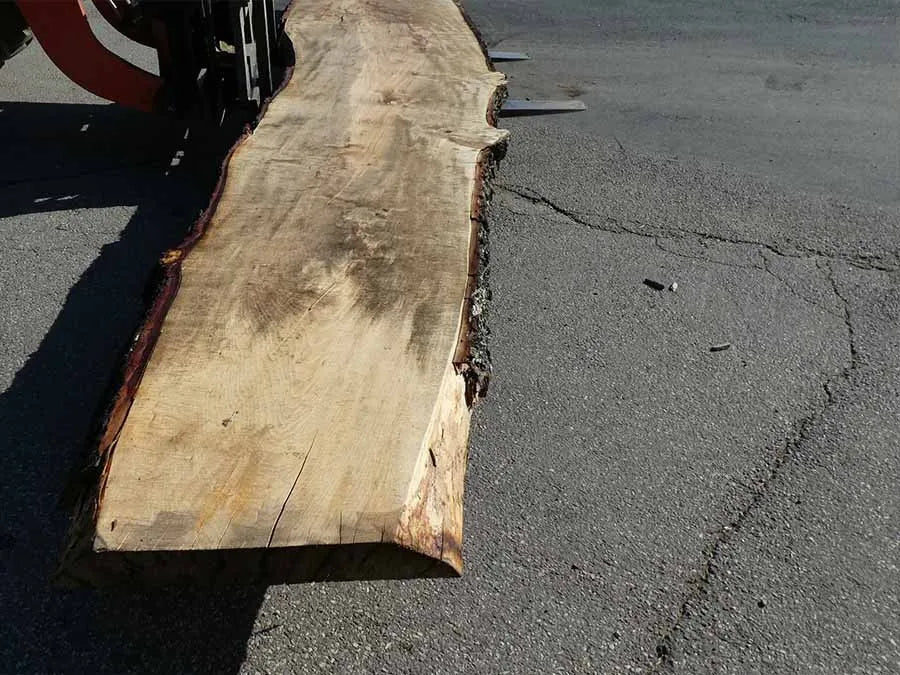 Unbehandelte Tischplatten nach Maß aus Laubholz Kastanie | Plattennummer B-00309