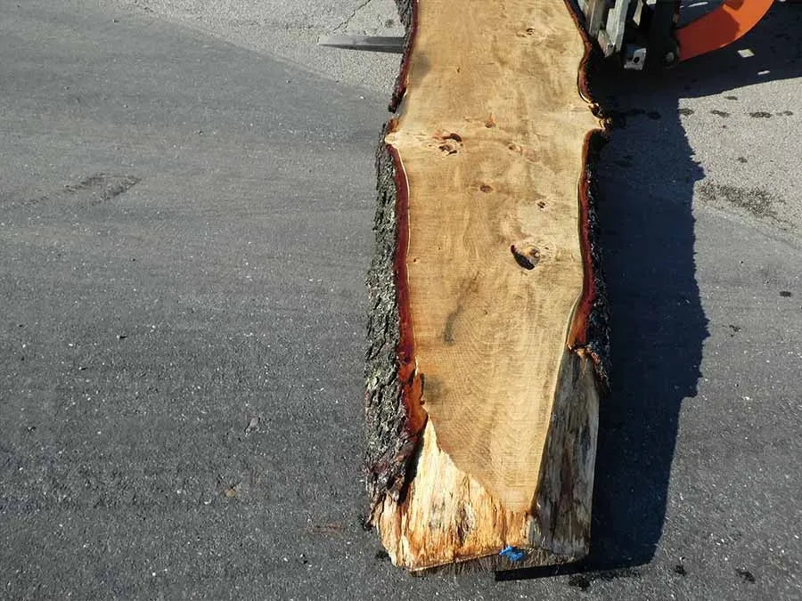 Unbehandelte Tischplatten nach Maß aus Laubholz Kastanie | Plattennummer B-00312