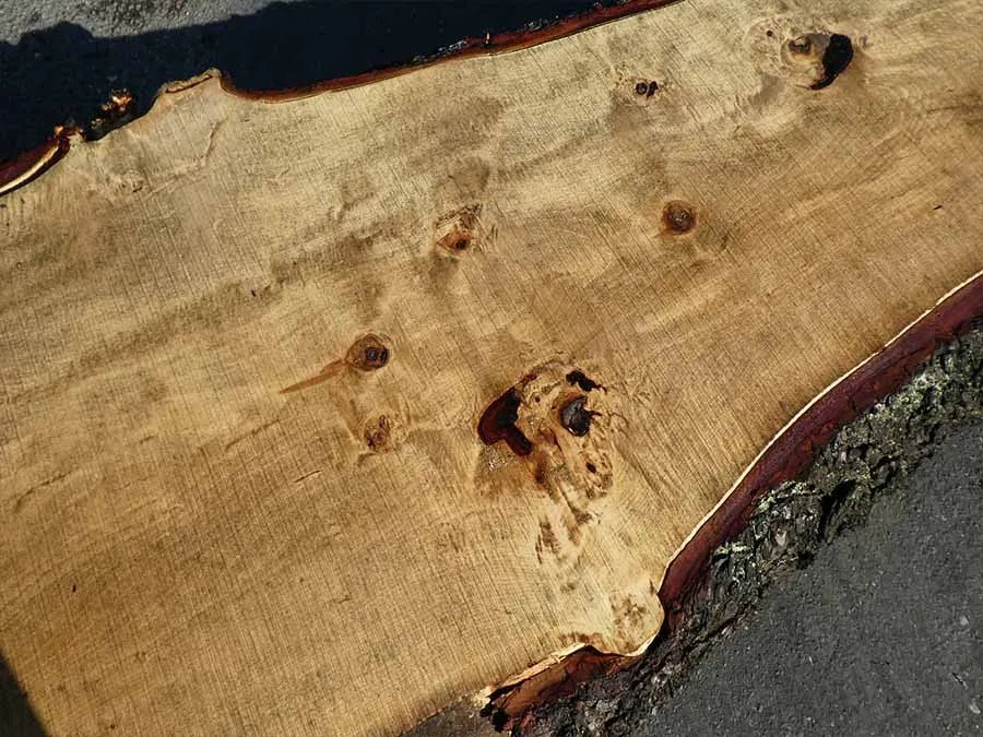 Unbehandelte Tischplatten nach Maß aus Laubholz Kastanie | Plattennummer B-00312