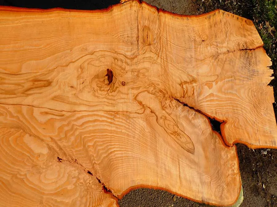 Unbehandelte Tischplatten nach Maß aus Buche | Plattennummer O-00201