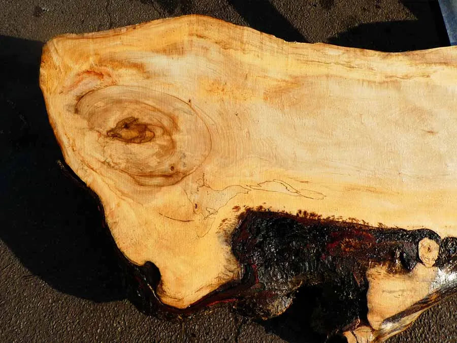 Unbehandelte Tischplatten nach Maß aus Laubholz Kastanie | Plattennummer B-00319