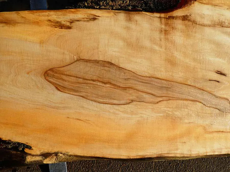 Unbehandelte Tischplatten nach Maß aus Laubholz Kastanie | Plattennummer B-00319