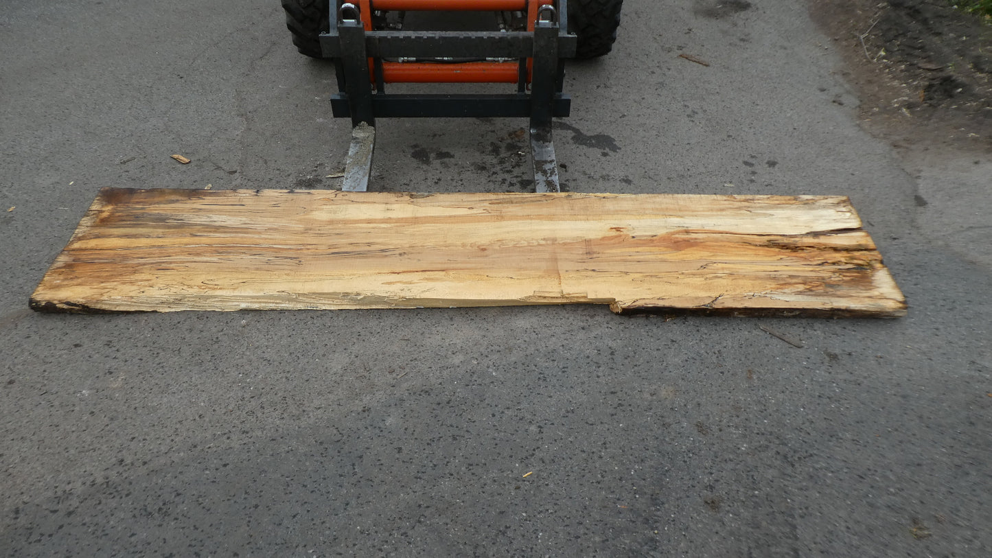 Unbehandelte Tischplatten aus Buche | Plattennummer O-00288 Buche