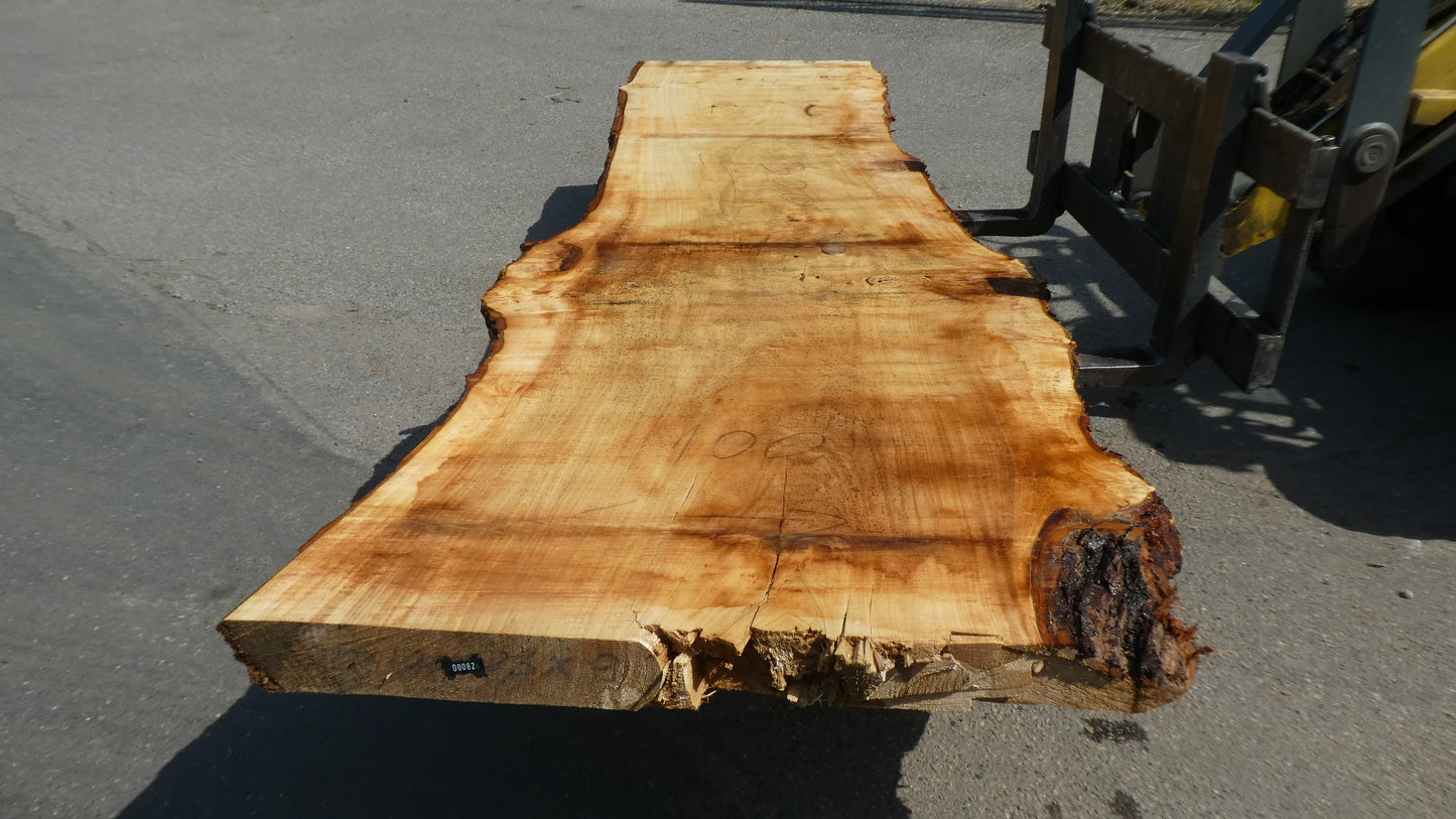 Unbehandelte Tischplatten aus Pappel | Plattennummer S-00082 Pappel