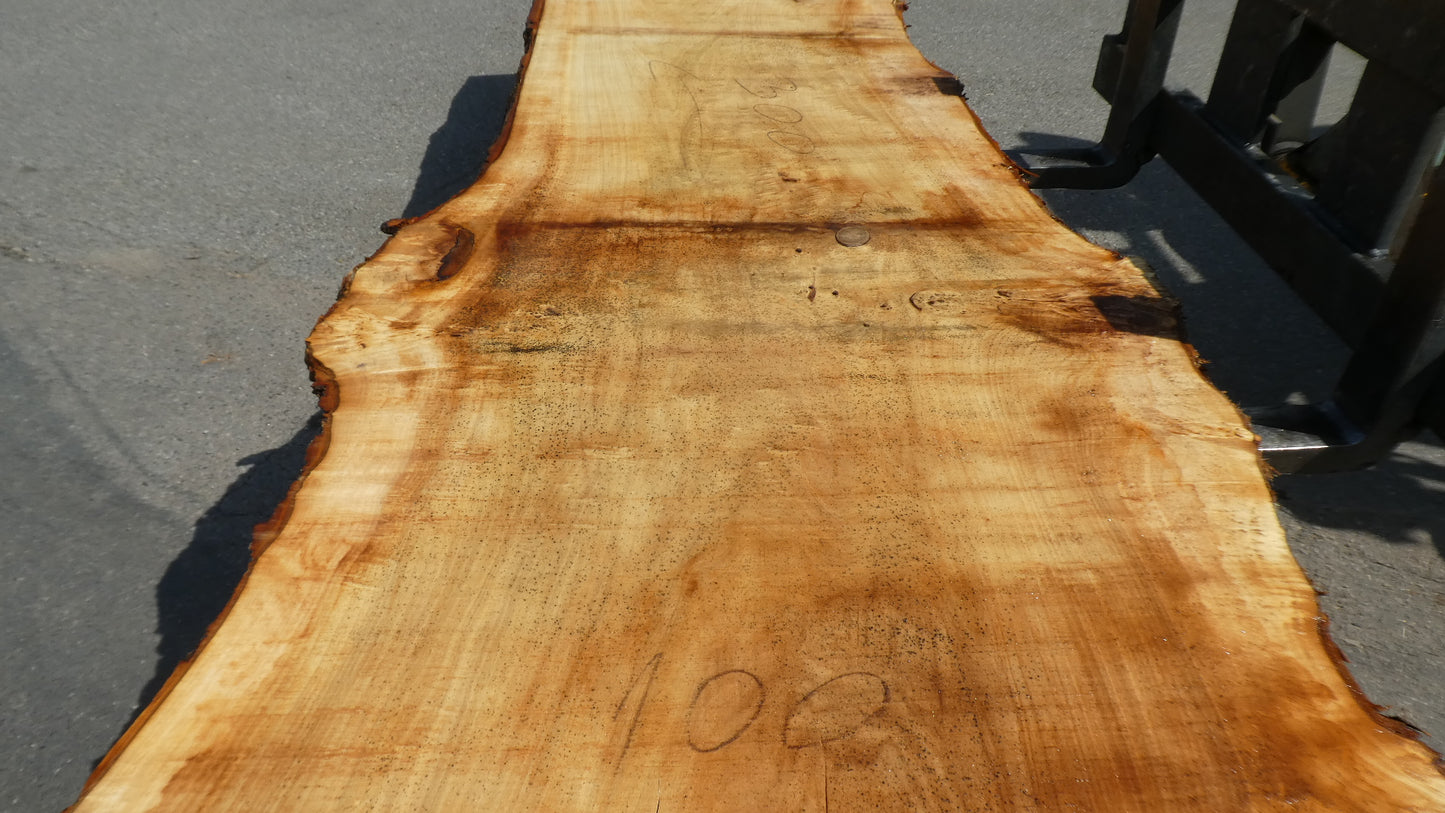 Unbehandelte Tischplatten aus Pappel | Plattennummer S-00082 Pappel