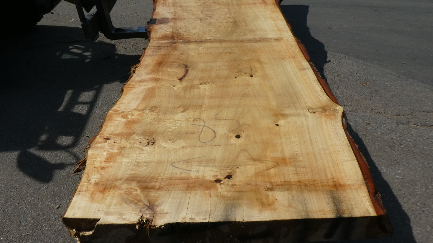 Unbehandelte Tischplatten aus Pappel | Plattennummer S-00082 Pappel