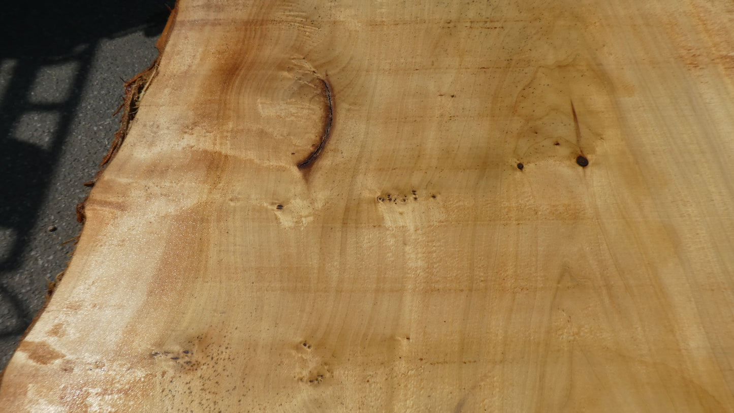 Unbehandelte Tischplatten aus Pappel | Plattennummer S-00082 Pappel