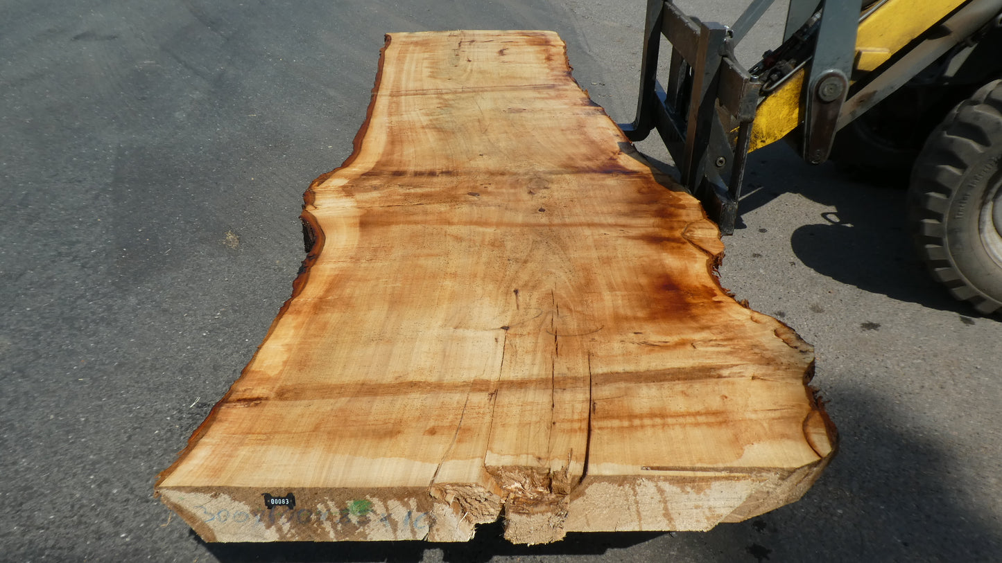 Unbehandelte Tischplatten aus Pappel | Plattennummer S-00083 Pappel