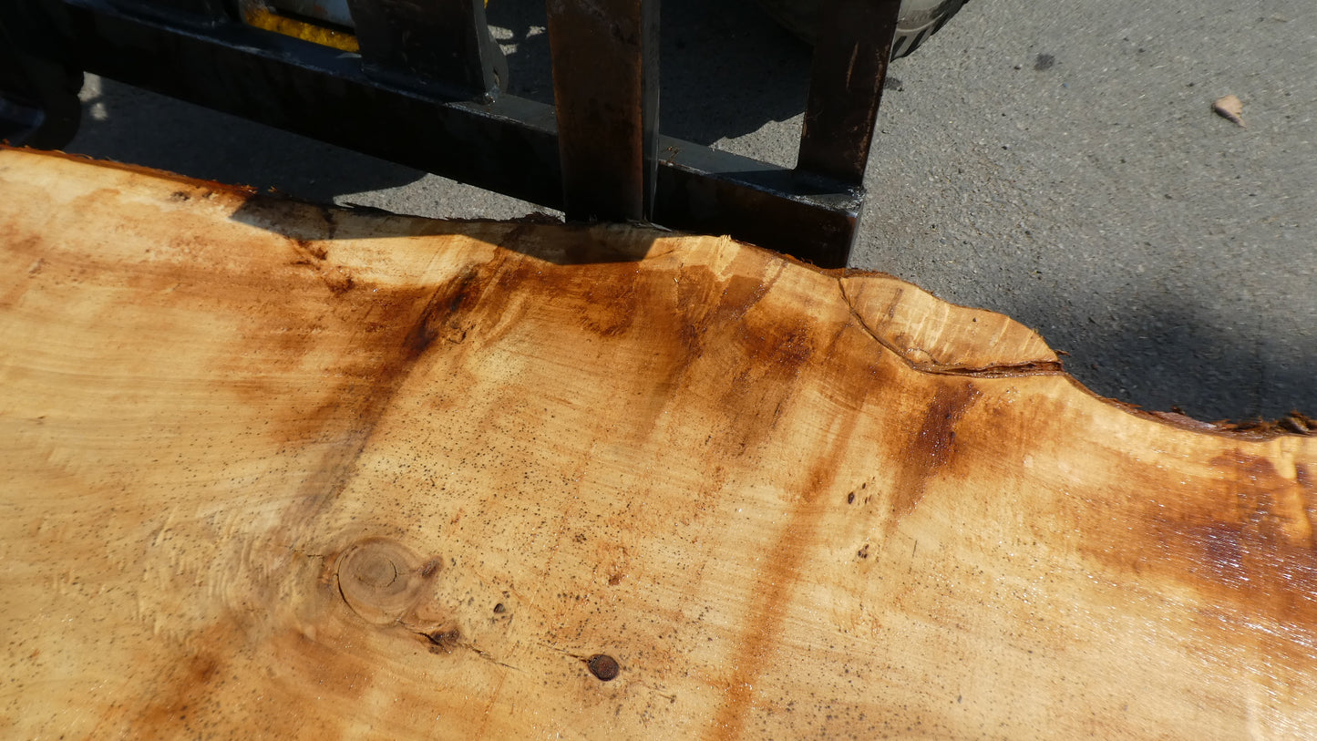 Unbehandelte Tischplatten aus Pappel | Plattennummer S-00083 Pappel