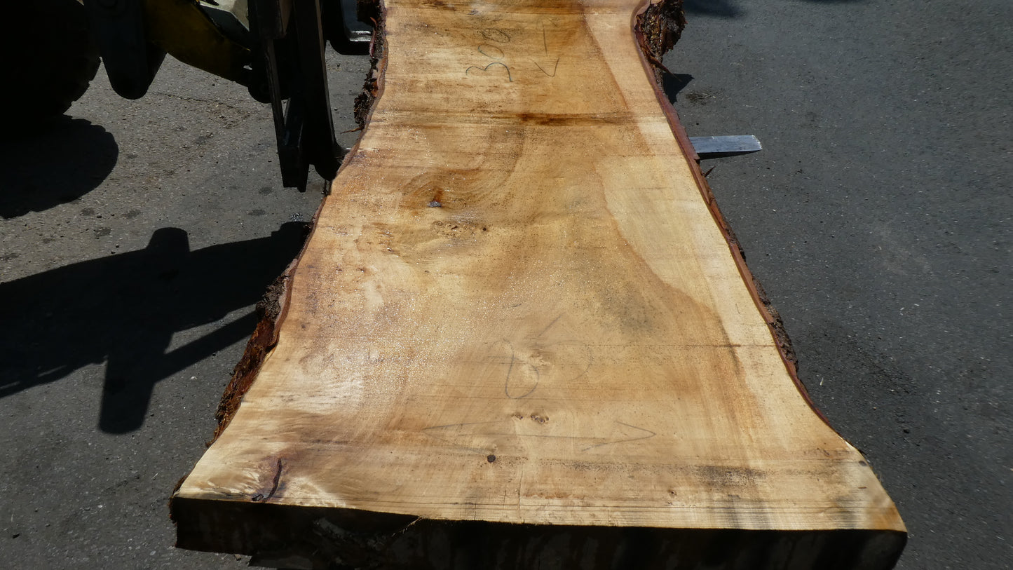 Unbehandelte Tischplatten aus Pappel | Plattennummer S-00085 Pappel