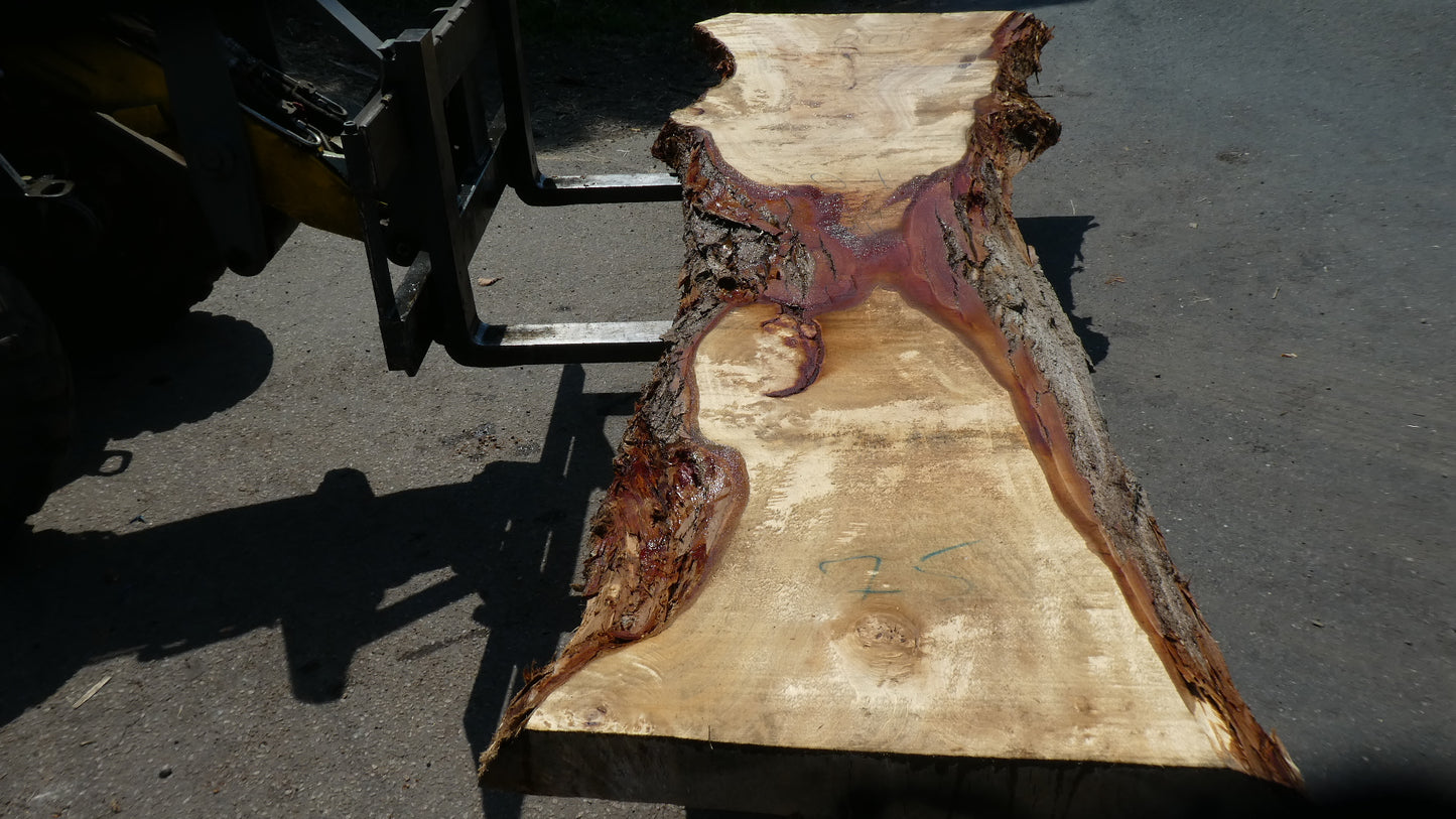 Unbehandelte Tischplatten aus Pappel | Plattennummer S-00087 Pappel