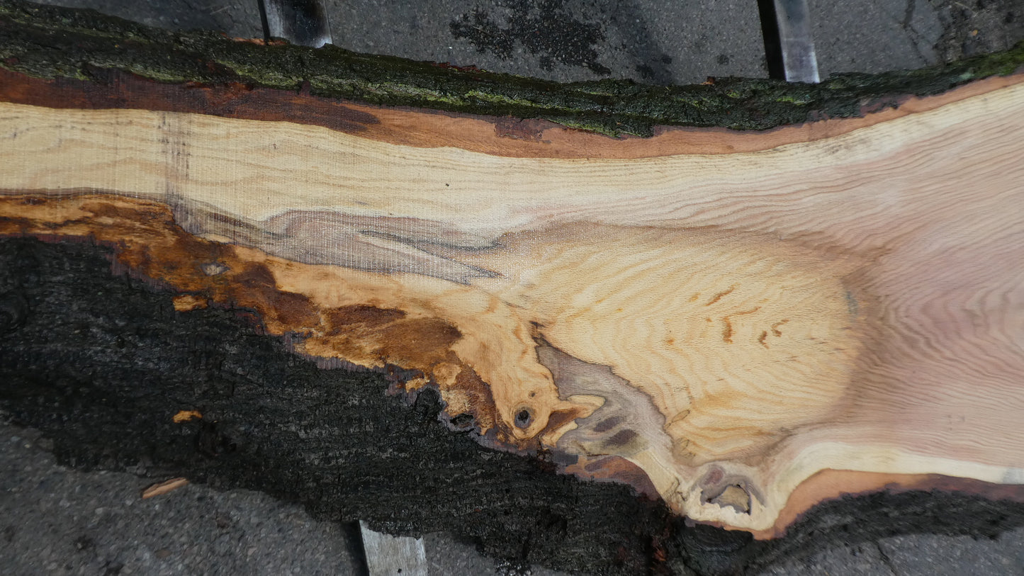 Unbehandelte Tischplatte nach Maß aus Eiche | Plattennummer G-00228 Eiche