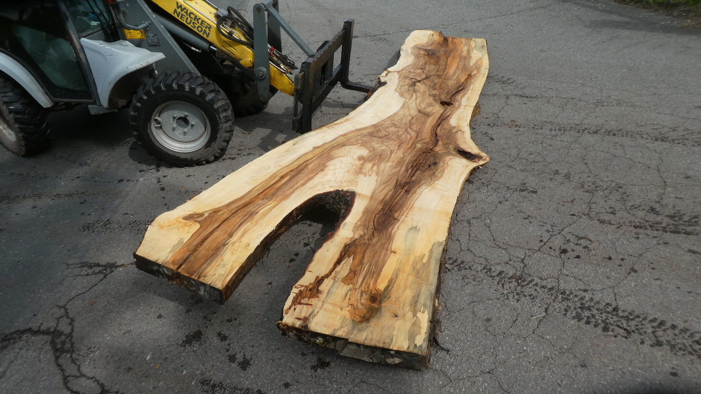 Unbehandelte Tischplatten nach Maß aus Laubholz Kastanie | Plattennummer B-00400