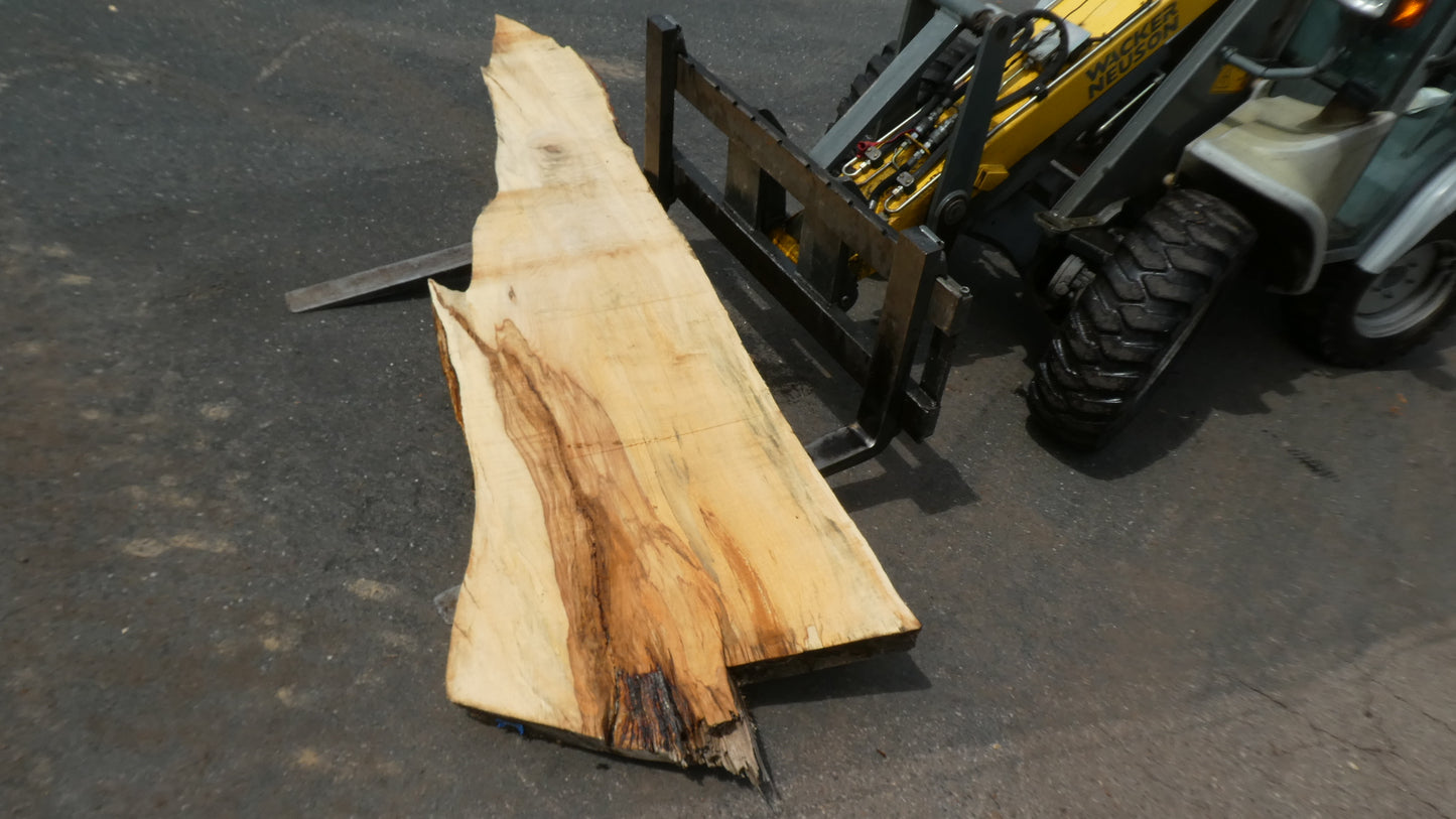 Unbehandelte Tischplatten nach Maß aus Laubholz Kastanie | Plattennummer B-00404