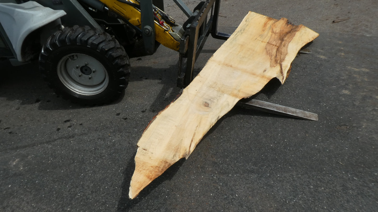 Unbehandelte Tischplatten nach Maß aus Laubholz Kastanie | Plattennummer B-00404