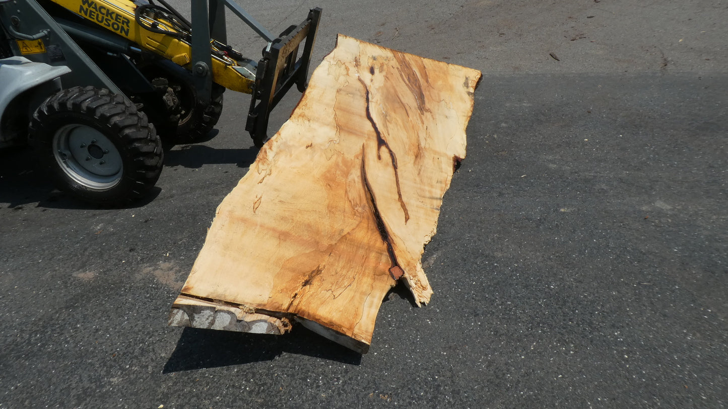 Unbehandelte Tischplatten nach Maß aus Laubholz Kastanie | Plattennummer B-00411