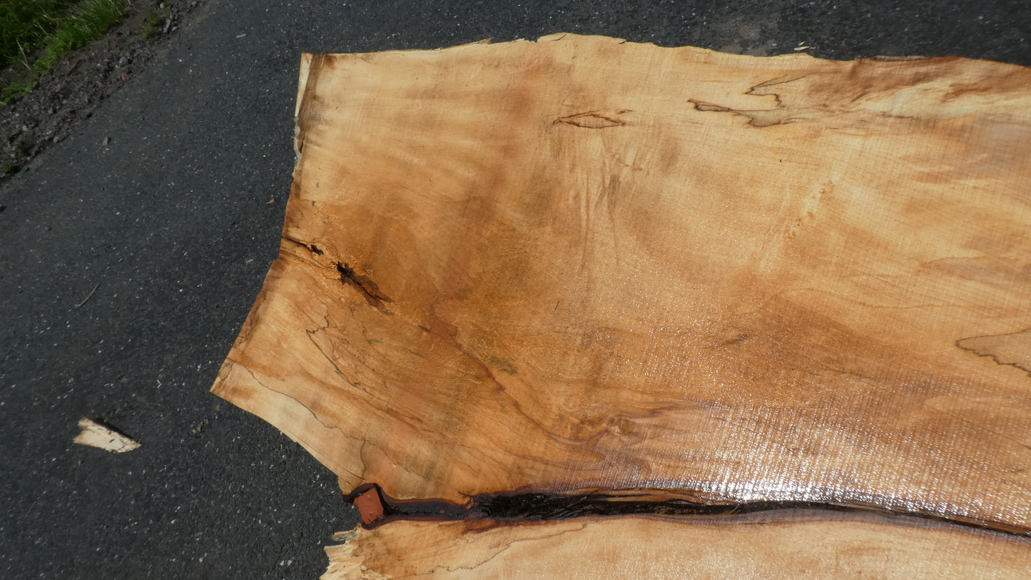 Unbehandelte Tischplatten nach Maß aus Laubholz Kastanie | Plattennummer B-00411