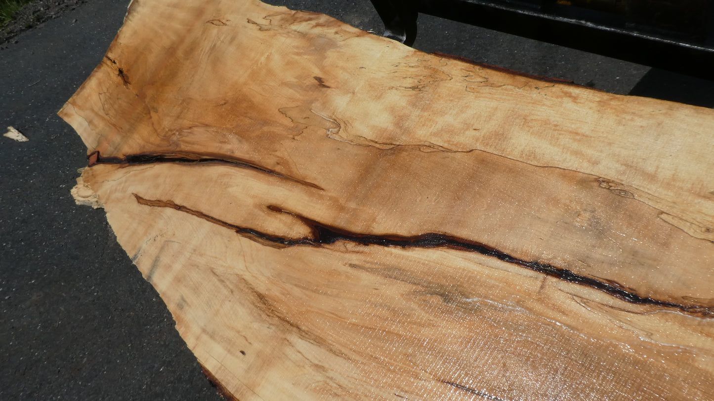 Unbehandelte Tischplatten nach Maß aus Laubholz Kastanie | Plattennummer B-00411