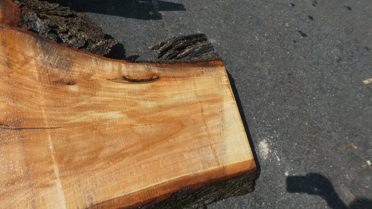 Unbehandelte Tischplatten nach Maß aus Laubholz Linde | Plattennummer B-00421