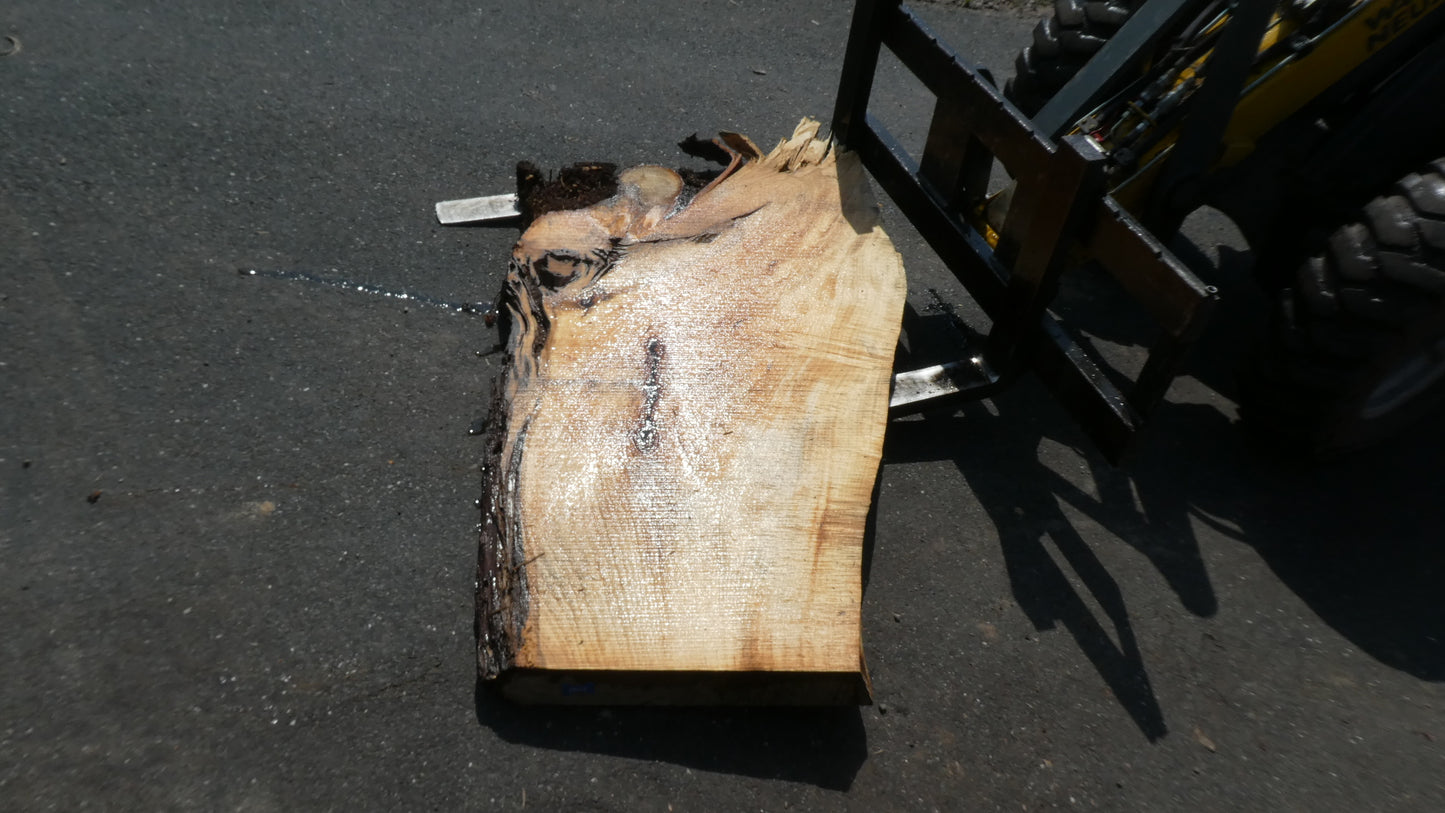 Unbehandelte Tischplatten nach Maß aus Laubholz Linde | Plattennummer B-00422