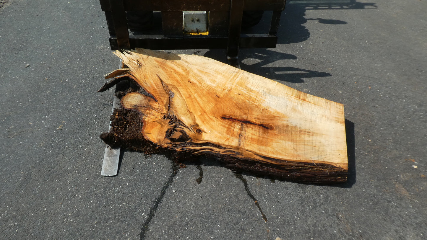 Unbehandelte Tischplatten nach Maß aus Laubholz Linde | Plattennummer B-00422