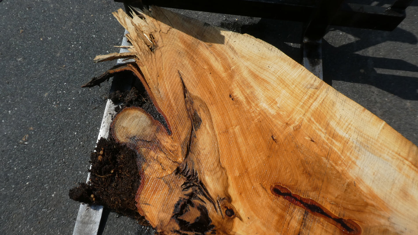 Unbehandelte Tischplatten nach Maß aus Laubholz Linde | Plattennummer B-00422