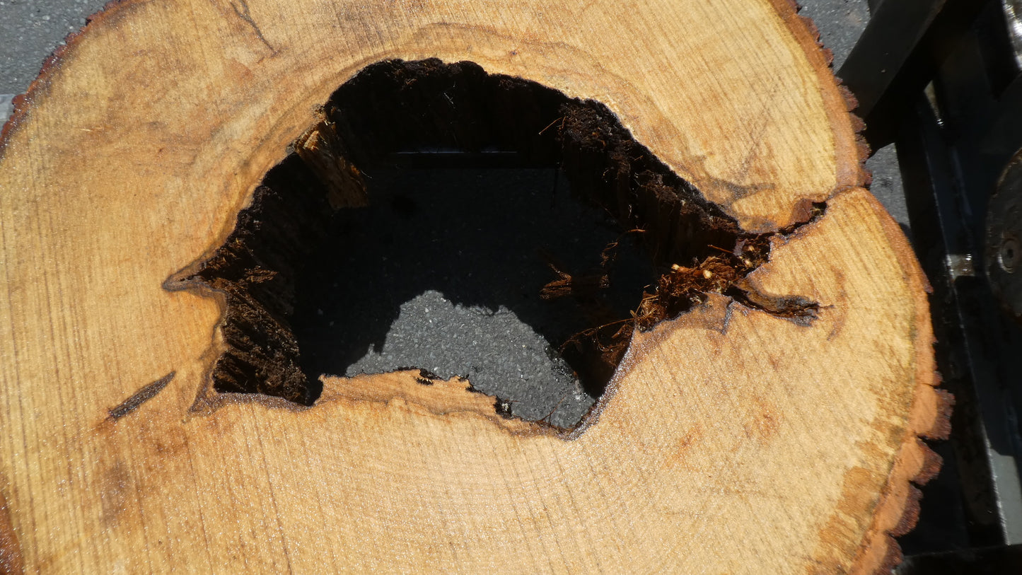 Unbehandelte Tischplatten nach Maß aus Laubholz Linde | Plattennummer B-00438