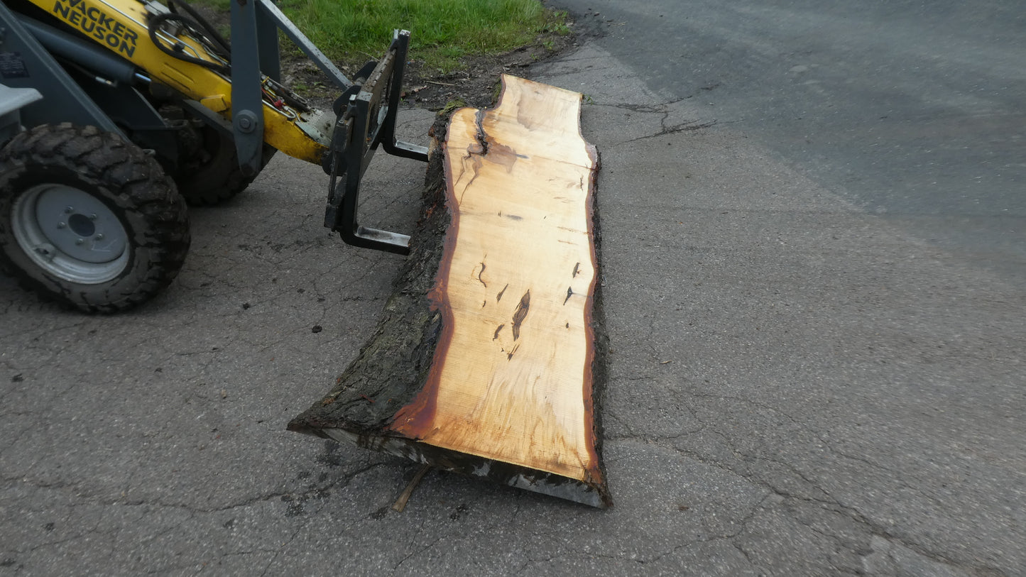 Unbehandelte Tischplatten nach Maß aus Laubholz Kastanie | Plattennummer B-00449