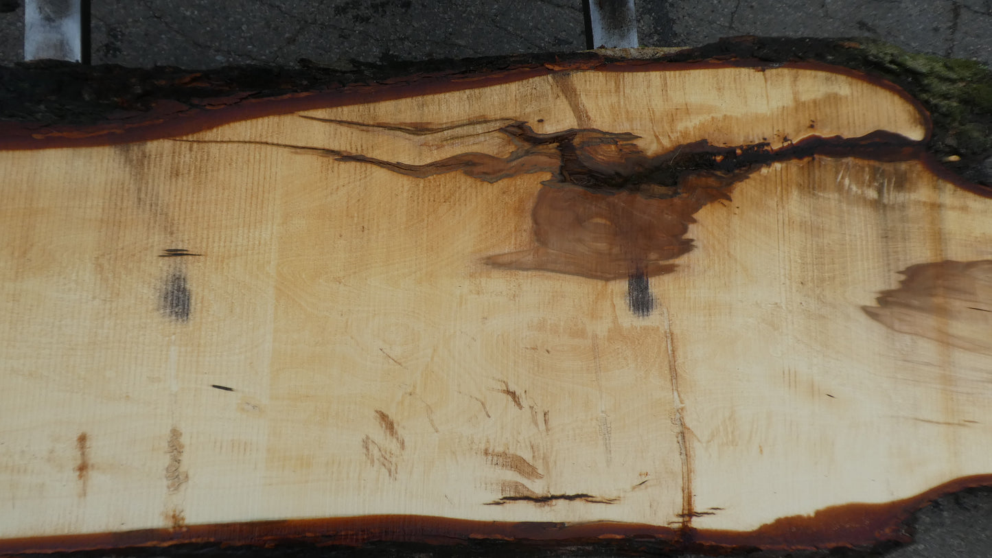 Unbehandelte Tischplatten nach Maß aus Laubholz Kastanie | Plattennummer B-00449